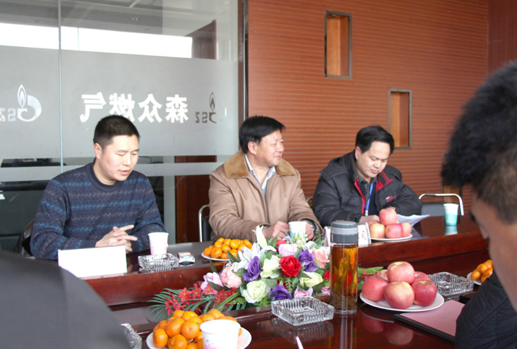 林口县政府与杭州潘博数据智能分析有限公司燃气项目洽谈.png